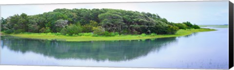 Framed Trees at Rachel Carson Coastal Nature Preserve, Beaufort, North Carolina, USA Print