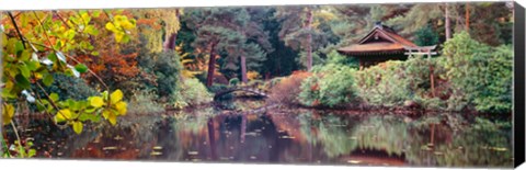 Framed Japanese Garden in autumn, Tatton Park, Cheshire, England Print