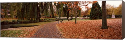 Framed Park at banks of the Avon River, Christchurch, South Island, New Zealand Print