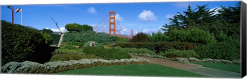 Framed Suspension bridge, Golden Gate Bridge, San Francisco Bay, San Francisco, California, USA Print