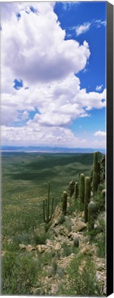 Framed Clouds over a landscape, Tucson Mountain Park, Tucson, Arizona, USA Print