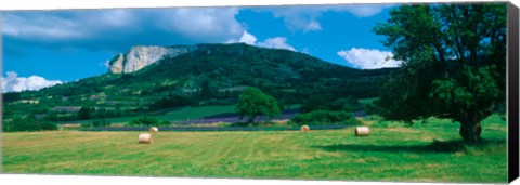 Framed Tree in a field, Mevouillon, Provence-Alpes-Cote d&#39;Azur, France Print