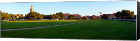 Framed Stanford University Campus, Palo Alto, California Print