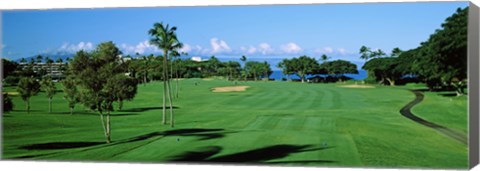 Framed Trees , Kaanapali Golf Course, Maui, Hawaii, USA Print