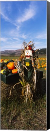 Framed Scarecrow in Pumpkin Patch, Half Moon Bay, California (vertical) Print