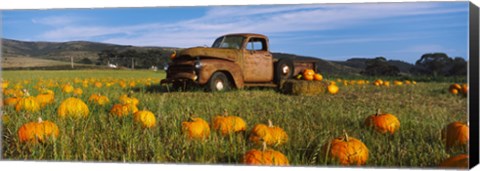 Framed Old Rusty Truck in Pumpkin Patch, Half Moon Bay, California, USA Print