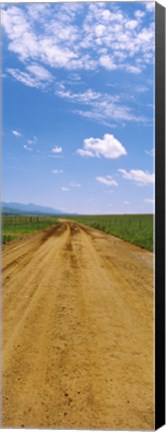 Framed Dirt road passing through San Rafael Valley, Arizona Print