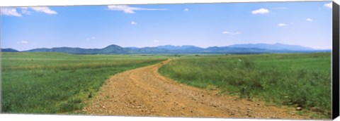 Framed Dirt road passing through a landscape, San Rafael Valley, Arizona Print