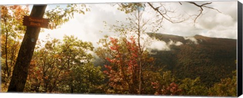 Framed Trees with Sunset Rock sign, Kaaterskill Falls area, Catskill Mountains, New York State, USA Print
