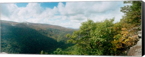 Framed Trees on mountain, view from Sunset Rock, Kaaterskill Falls area, Catskill Mountains, New York State, USA Print