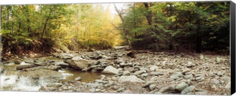 Framed Creek running through the Catskills, Kaaterskill Falls, New York State, USA Print