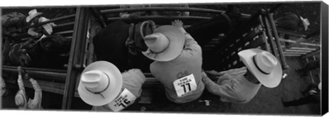 Framed High angle view of cowboys with horses at rodeo, Wichita Falls, Texas, USA Print