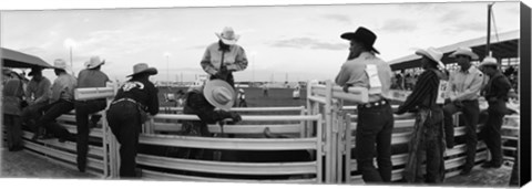 Framed Cowboys at rodeo, Pecos, Texas, USA Print