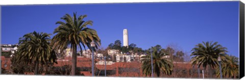 Framed Palm trees with Coit Tower in background, San Francisco, California, USA Print