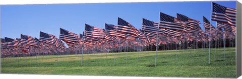 Framed American flags in memory of 9/11, Pepperdine University, Malibu, California Print