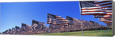 Framed American flags, Pepperdine University, Malibu, California Print