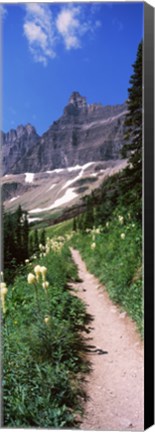 Framed Hiking trail at US Glacier National Park, Montana, USA Print