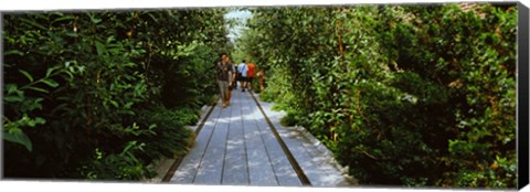 Framed People walking on walkway in an elevated park, High Line, New York City, New York State, USA Print