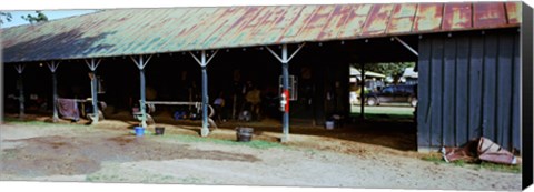 Framed Paddock at Saratoga Racecourse, Saratoga Springs, New York State, USA Print