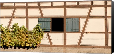 Framed Detail of half timber house and grape vines, Strumpfelbach, Baden-Wurttemberg, Germany Print