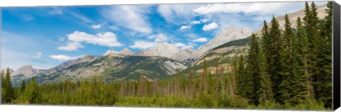 Framed Trees with Canadian Rockies in the background, Smith-Dorrien Spray Lakes Trail, Kananaskis Country, Alberta, Canada Print