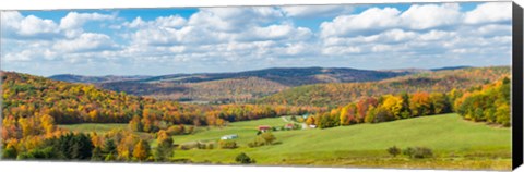 Framed Trees on hill during autumn, New York State, USA Print