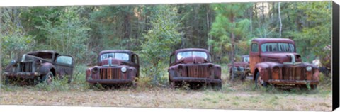 Framed Old rusty cars and trucks on Route 319, Crawfordville, Wakulla County, Florida, USA Print