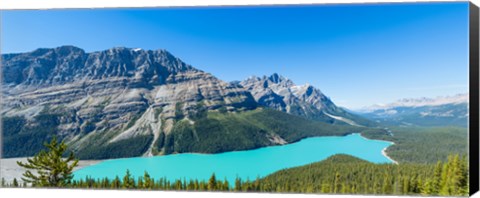 Framed Peyto Lake at Banff National Park, Alberta, Canada Print