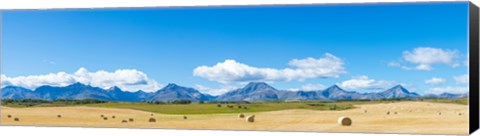 Framed Hay bales in a field with Canadian Rockies in the background, Alberta, Canada Print