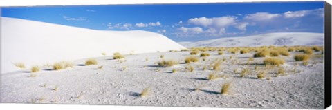 Framed White Sands and Blue Sky, New Mexico Print