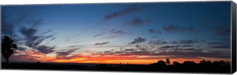 Framed Silhouette of trees at sunset, Todos Santos, Baja California, Mexico Print