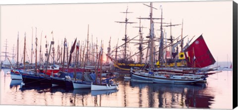 Framed Tall ship in Douarnenez harbor, Finistere, Brittany, France Print