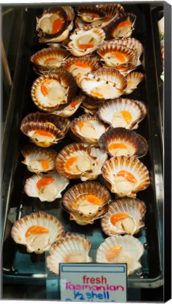 Framed Tasmanian oysters for sell in the Central Market, Adelaide, South Australia, Australia Print