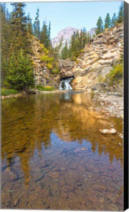 Framed Flowing stream in a forest, Banff National Park, Alberta, Canada Print