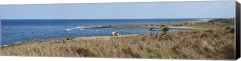 Framed Grass on the beach, Havana, Cuba Print