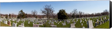 Framed Tombstones in a cemetery, Arlington National Cemetery, Arlington, Virginia, USA Print