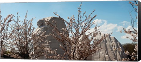 Framed Cherry trees in front of a memorial, Martin Luther King Jr. National Memorial, Washington DC, USA Print