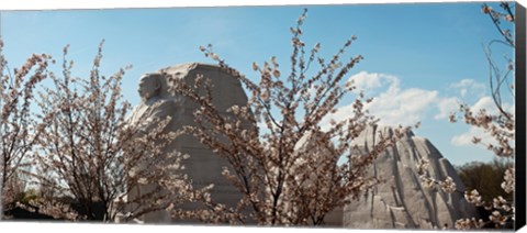 Framed Cherry trees in front of a memorial, Martin Luther King Jr. National Memorial, Washington DC, USA Print