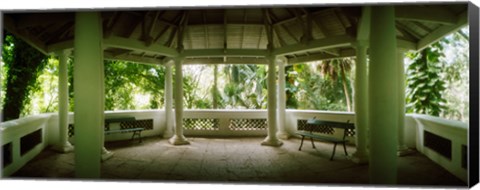 Framed Canopy in the botanical garden, Jardim Botanico, Zona Sul, Rio de Janeiro, Brazil Print