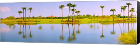 Framed Reflection of trees on water, Lake Worth, Palm Beach County, Florida, USA Print