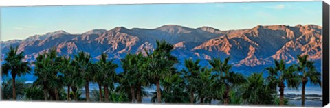 Framed Palm trees with mountain range in the background, Furnace Creek Inn, Death Valley, Death Valley National Park, California, USA Print