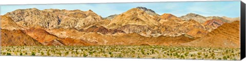 Framed Bushes in a desert with mountain range in the background, Death Valley, Death Valley National Park, California Print