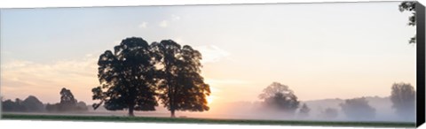 Framed Trees at sunrise, USK Valley, South Wales, Wales Print