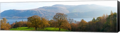 Framed Autumn trees with mountains in background, Derwent Water, Lake District National Park, Cumbria, England Print