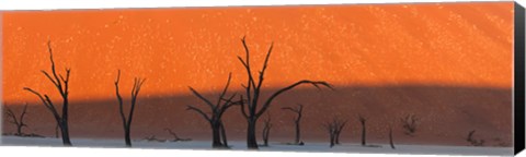 Framed Dead trees in dry clay pan, Dead Vlei, Sossusvlei, Namib-Naukluft National Park, Namibia Print