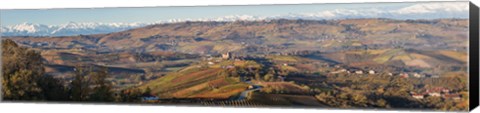 Framed High angle view of vineyards and castle, Grinzane Cavour, Langhe, Cuneo Province, Piedmont, Italy Print