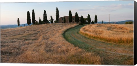 Framed Road leading towards a farmhouse, Val d&#39;Orcia, Tuscany, Italy Print