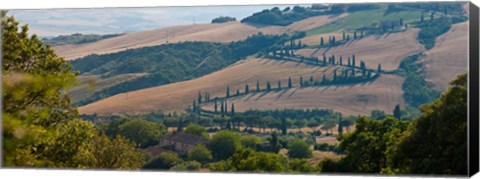 Framed High angle view of winding road in valley, Tuscany, Italy Print