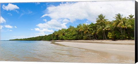 Framed Trees on the beach, Cape Tribulation, Daintree River National Park, Queensland, Australia Print