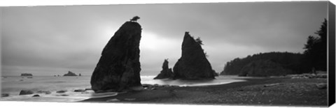 Framed Silhouette of seastacks at sunset, Olympic National Park, Washington State (black and white) Print